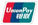 UNION PAY
